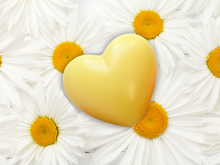 Load image into Gallery viewer, Wax heart freshener for closets and drawers - Romantic & Floral – Elegant Floral Blends for Gifting & Everyday Luxury