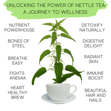 Load image into Gallery viewer, Nettle Herbal Tea | Organic