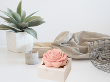 Load image into Gallery viewer, Wax flower freshener – Spring & Summer scents for your closets and drawers – Fresh, Fruity & Floral for Bright Seasonal Vibes