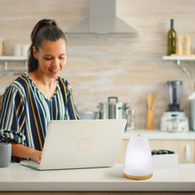 Load image into Gallery viewer, 2-in-1 USB Essential oil Aroma Diffuser