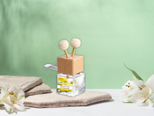 Load image into Gallery viewer, Fruity & Juicy Vent Car Diffuser Collection – Sweet, Playful & Tropical Car Scents