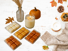 Load image into Gallery viewer, clamshell Wax Melts - Fall & Winter – Cozy, Woodsy & Spiced Scents for the Cooler Seasons