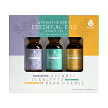Load image into Gallery viewer, 3 Pack Aromatherapy Essential oils (Lavender, Eucalyptus, Frankincense)