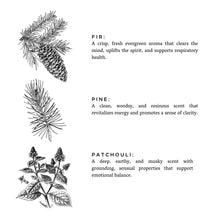 Load image into Gallery viewer, Forest Bathing - Fir + Pine + Patchouli