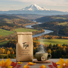 Load image into Gallery viewer, Tega Fairtrade Tea Sampler β 25 Tea Bags