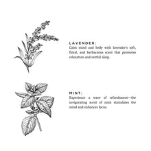 Load image into Gallery viewer, Lavender + Mint - Reed Diffuser