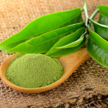 Load image into Gallery viewer, Tega Japanese Matcha 40g | Organic