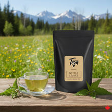 Load image into Gallery viewer, Nettle Herbal Tea | Organic