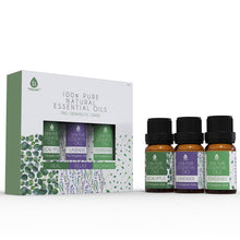 Load image into Gallery viewer, 3 pack of 100% Pure Essential Oils (Eucalyptus, Lavender & Peppermint)