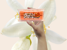 Load image into Gallery viewer, Wax Melts Bar – Spring & Summer scents – Fresh, Fruity & Floral for Bright Seasonal Vibes