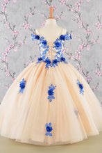 Load image into Gallery viewer, 3-D Flower Embroidery Bead Mesh Kids Dress