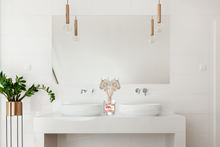 Load image into Gallery viewer, Exotic &amp; Escape Reed Diffuser Collection – Tropical Scents with Mango, Pineapple, Hibiscus &amp; Coconut
