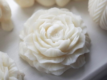 Load image into Gallery viewer, Wax flower freshener – Spring &amp; Summer scents for your closets and drawers – Fresh, Fruity &amp; Floral for Bright Seasonal Vibes
