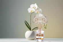 Load image into Gallery viewer, Exotic &amp; Escape Reed Diffuser Collection – Tropical Scents with Mango, Pineapple, Hibiscus &amp; Coconut
