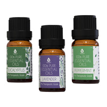 Load image into Gallery viewer, 3 pack of 100% Pure Essential Oils (Eucalyptus, Lavender &amp; Peppermint)
