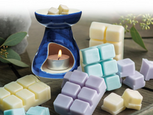 Load image into Gallery viewer, clamshell Wax Melts - Spa &amp; Relaxation  – Calming Aromas for Wellness, Self-Care &amp; Gift Sets
