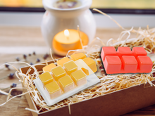 Load image into Gallery viewer, clamshell Wax Melts - Fall &amp; Winter  – Cozy, Woodsy &amp; Spiced Scents for the Cooler Seasons

