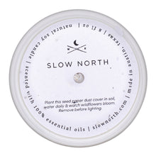 Load image into Gallery viewer, Forest Bathing - Signature Candle (Fir + Pine + Patchouli)
