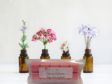 Load image into Gallery viewer, Wax Melts Bar – Spring &amp; Summer scents – Fresh, Fruity &amp; Floral for Bright Seasonal Vibes
