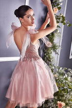 Load image into Gallery viewer, A-Line Short Tulle Dress
