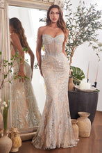 Load image into Gallery viewer, Embellished Silver &amp; Nude Gown
